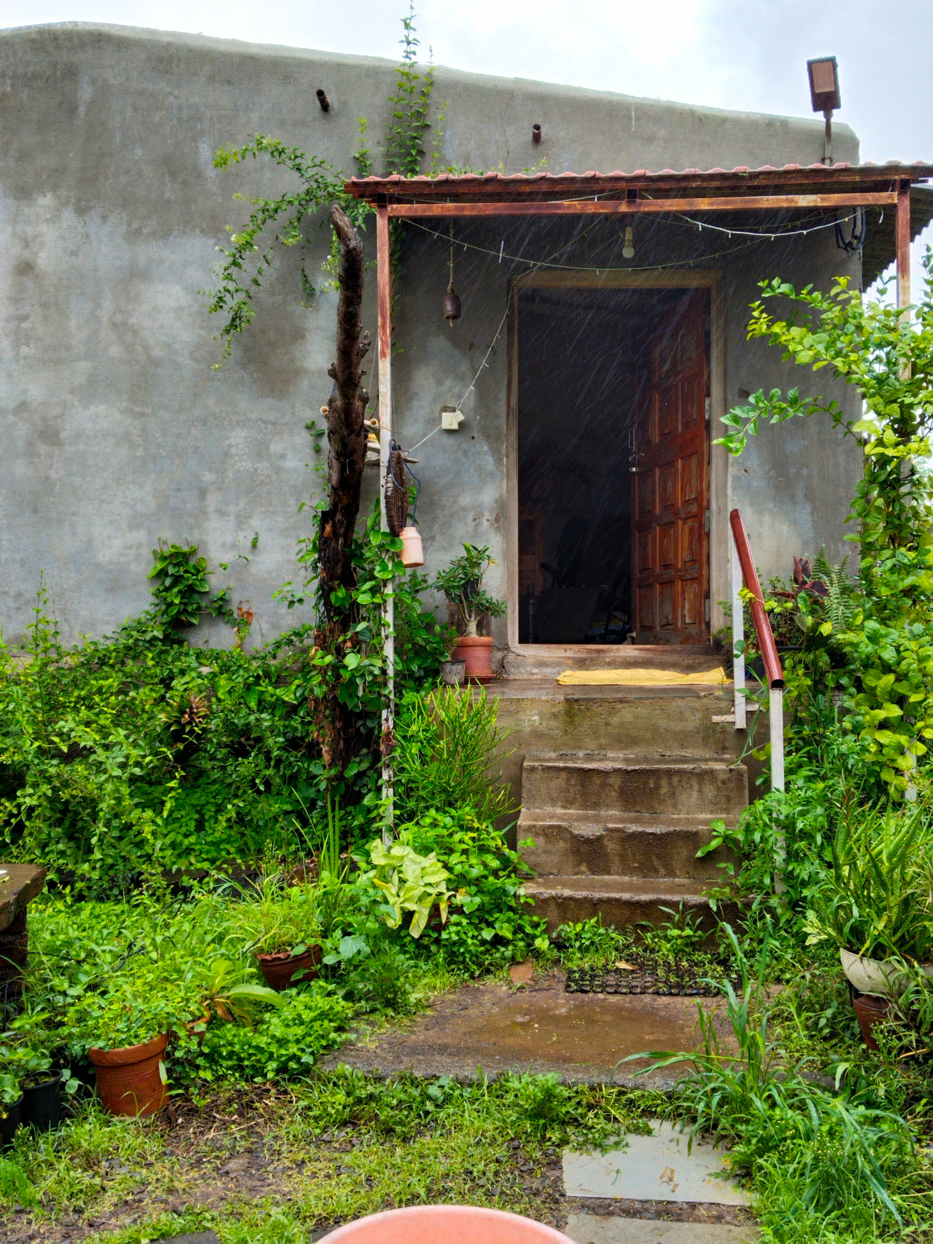 The farm buildings